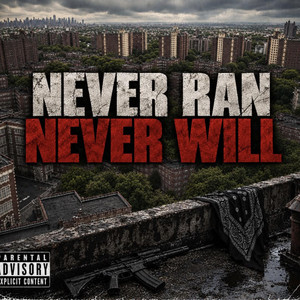 Never Ran Never Will by Envy Spark