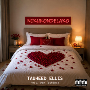 Nikukondelako by Tauheed Ellis, Oze Tachinga