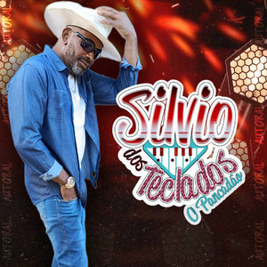 ACORDEI SOZINHO by SILVIO DOS TECLADOS O PANCADÃO