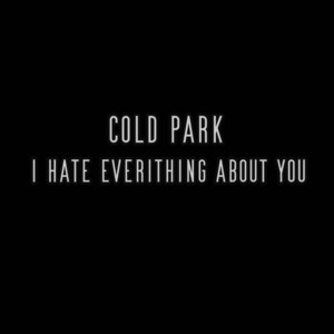 I Hate Everything About You - Cover