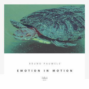 Bruno Pauwels cover