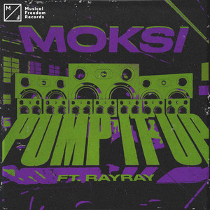 Pump It Up (feat. RayRay) - Extended Mix cover art