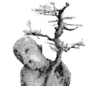 NIE ŚPIĘ by SYN
