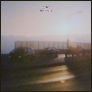 Lost Cause by Junco