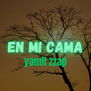 En Mi Cama by Yamil Zzap