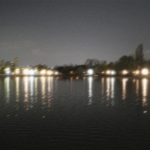 dear. (Inst.) by The Stray