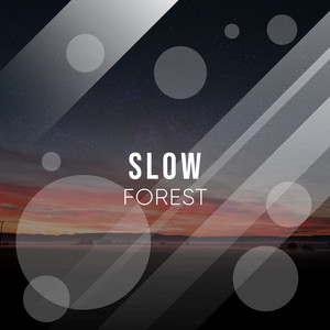 # 1 Album: Slow Forest album