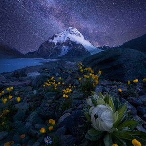 Echoes of Us by Ever Vane