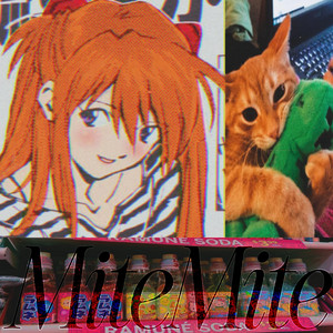 MiteMite