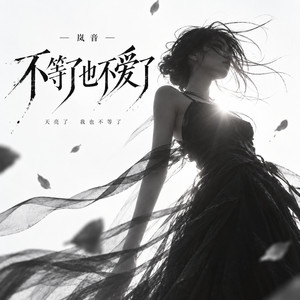 不等了也不爱了 by 岚音