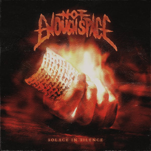 Not Enough Space - Solace In Silence
