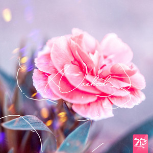 Nashidhaimuhamadi - Sorry