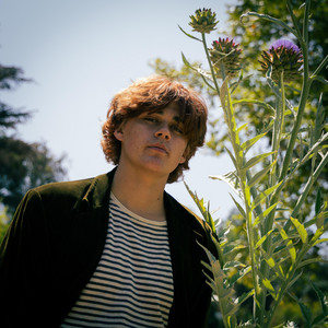 Lillies on the Water by Cillian Leddy
