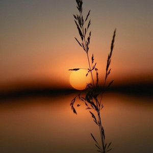 Dero music - Memory frames