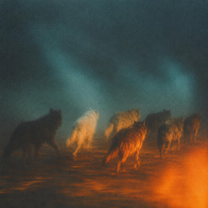 NORF WIND CODE by Tula Wolf
