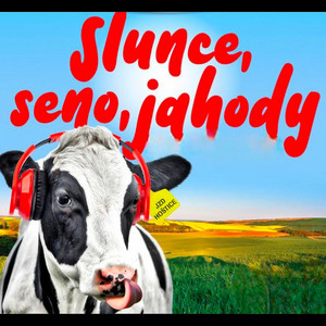 DJ Horovce - Slunce, Seno, Jahody (Techno remix)