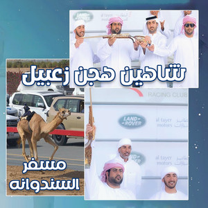 شاهين (هجن زعبيل ) by الرموز, مسفر السندوانه