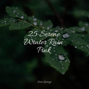 25 Serene Winter Rain Pink album