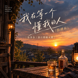 我在等一个懂我的人 - 微醺版 by 张多金, 落日微醺本薰