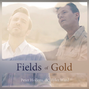 Fields of Gold - song and lyrics by Peter Hollens, Tyler Ward, Lindsey  Stirling | Spotify