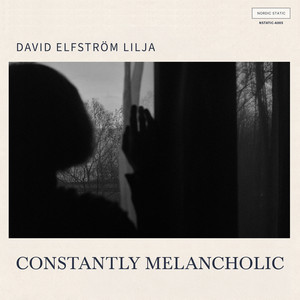 Something Else by David Elfström Lilja