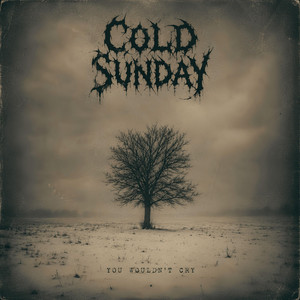 You Wouldn't Cry by Cold Sunday