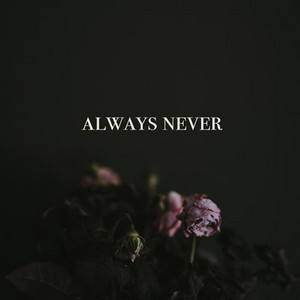 Always Never by David J