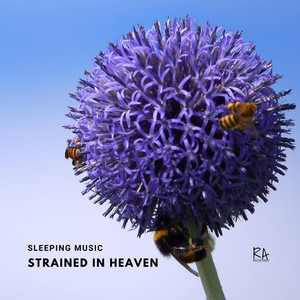 Strained in Heaven by Rafik Adly