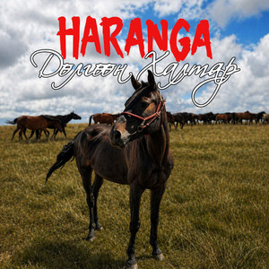 Dulguun Haltar by Haranga