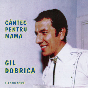 Gil Dobrică - Hai Acasă