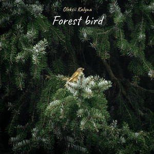 Forest bird