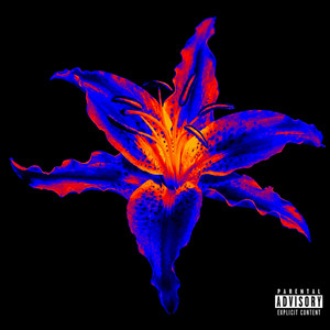 lil birdie by Wxrmy