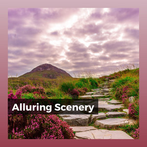 Alluring Scenery album
