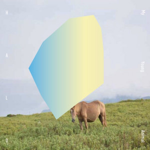 my young animal poster