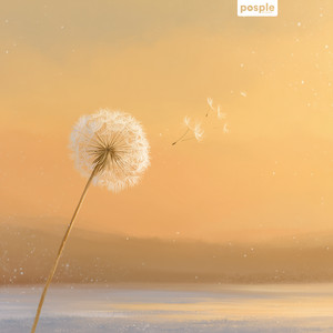 Calm Soul by Liam Starling