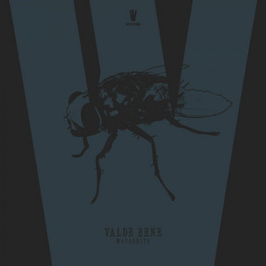 Valde Bene — Meteorite