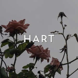 Hart by Hekkie