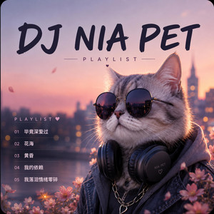 黄昏 - DJ NIA PET Remix by GK MUSIC