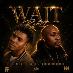Wait (Remix) by Mnandi Magroovah, Kulez, Prince Pe