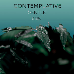 zZz Contemplative Gentle Rain zZz album