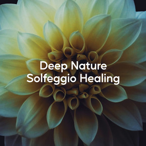 Deep Nature Solfeggio Healing (528 Hz Lullaby)
