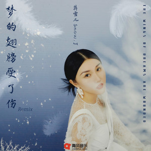 梦的翅膀受了伤 - DJ阿智版 by 蒋雪儿Snow.J, DJ阿布