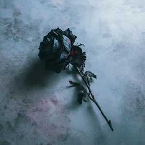 Words We Never Said - Acoustic by Deathly Hours