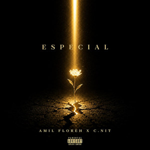 Especial by C.Nit, Amil Floreh