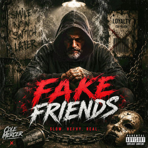 Fake Friends by Cole Mercer