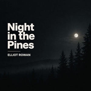 Calm Night in the Woods by Elliot Rowan