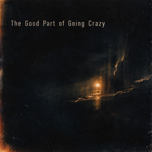 The Good Part of Going Crazy by Toshki