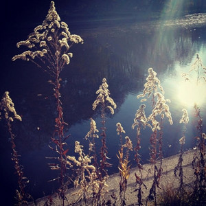 The Warmth of Winter by RIVKA