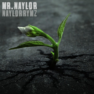 Gardening by Mr Naylor, Sox