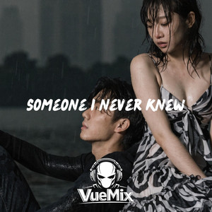 Somone I Never Knew by VueMix